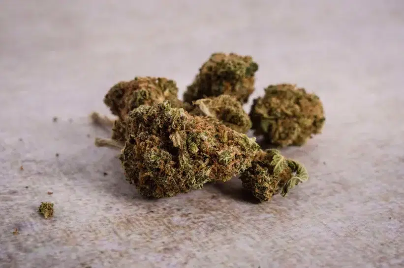 a group of green CBD buds