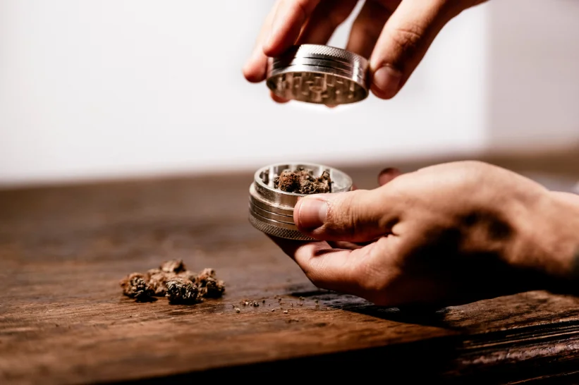 grinding cannabis nugs