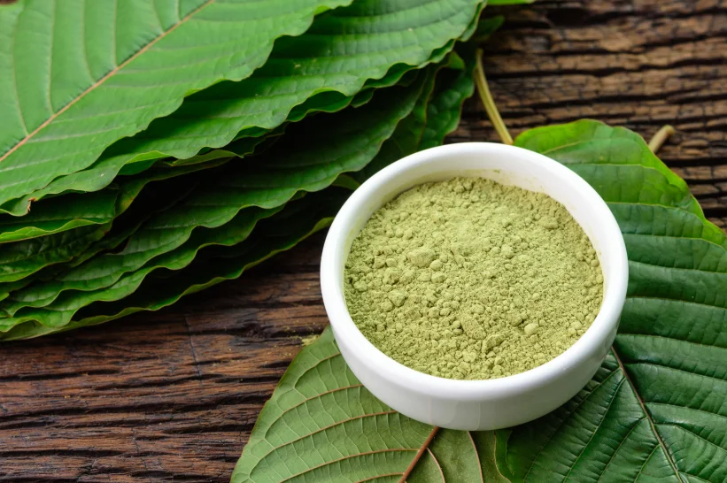 Does Kratom Show Up on a Drug Test ? The Hemp Doctor